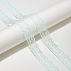Polyester Lace Ribbon FB-CBA59DF-01B-1
