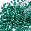 6/0 Glass Seed Beads SEED-A017-4mm-1118-1