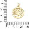 Brass Rhinestone Pendants RB-CBACCCF-04G-3