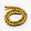 Natural Imperial Jasper Beads Strands X-G-I122-8mm-03-3