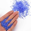 Glass Bugle Beads SEED-S032-11A-106-5