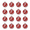 Platinum Plated Alloy Enamel Charms LS-ENAM-S118-03F-P-2