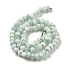 Natural Glass Beads Strands G-Q024-D02-01-3