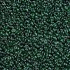 12/0 FGB Grade A Round Glass Seed Beads SEED-Q011-F522-2