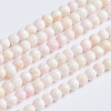 Natural Pink Shell Beads Strands LS-SSHEL-L016-18C-1