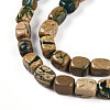 Natural Verdite Stone Beads Strands G-N346-04A-06-4