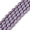 Opaque Solid Color Glass Beads Strands GLAA-N071-01A-C10-1