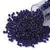 TOHO Round Seed Beads SEED-XTR08-0743-1