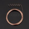 DIY Wire Wrapped Jewelry Kits DIY-BC0011-81A-03-4