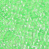 Transparent Inside Colours Glass Seed Beads SEED-T007-11I-2