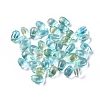 Transparent Glass Charms GLAA-L027-L01-1