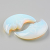 Opalite Beads G-T132-019-3