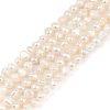 Natural Cultured Freshwater Pearl Beads Strands PEAR-P064-19B-04A-2