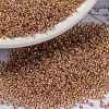 MIYUKI Round Rocailles Beads SEED-JP0010-RR0275-1