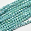 Faceted Round Full Rainbow Plated Electroplate Glass Beads Strands X-EGLA-J130-FR03-1