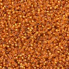 MIYUKI Delica Beads SEED-JP0008-DB0681-3