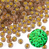 50G Luminous Transparent Acrylic Beads OACR-TAD0001-01H-3