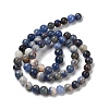 Natural Sodalite Beads Strands GSR6mmC013-1-5