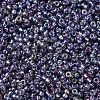 MIYUKI Round Rocailles Beads X-SEED-G007-RR1024-2