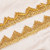 Polyester Ribbons OCOR-WH0047-23B-3