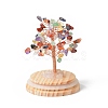 Natural Gemstone Chips Money Tree in Dome Glass Bell Jars with Wood Base Display Decorations DJEW-B007-04E-2