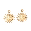 Ion Plating(IP) 304 Stainless Steel Charms STAS-C048-10G-1