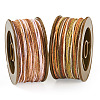 2 Rolls 2 Colors Segment Dyed Round Polyester Twisted Cords OCOR-TA0003-59C-2