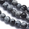 Natural Snowflake Obsidian Beads Strands G-A177-04-21-3