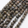 Natural Glaucophane Beads Strands G-K209-04A-6mm-1