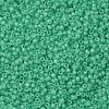 TOHO Round Seed Beads X-SEED-TR08-0156-2