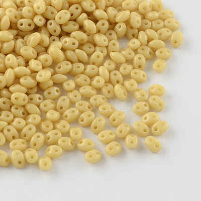 2-Hole Seed Beads GLAA-R159-04-1