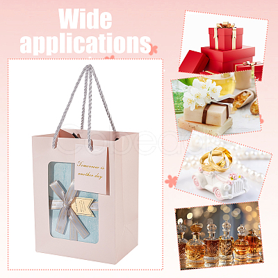 Paper Gift Storage Bags with Handle CARB-WH0017-11A-1