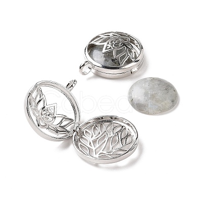 Natural Labradorite Locket Pendants G-G982-01P-20-1
