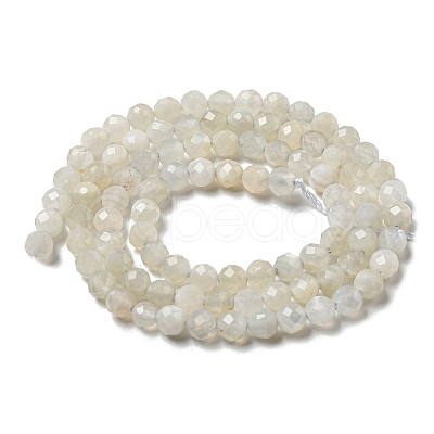 Natural Moonstone Beads Strands G-F736-01-AB-1