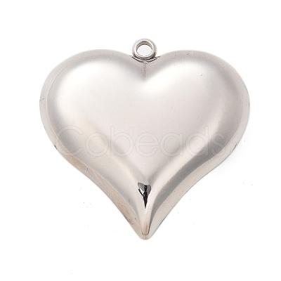 304 Stainless Steel Pendants STAS-Q349-02B-P-1