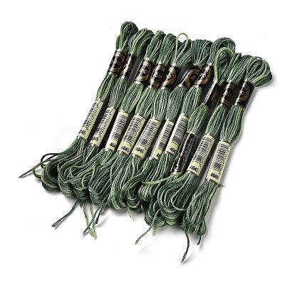 10 Skeins 6-Ply Polyester Embroidery Floss OCOR-K006-A63-1