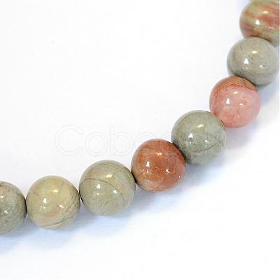 Natural Silver Leaf Jasper Round Bead Strands G-E334-6mm-04-1