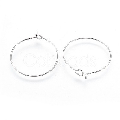 316 Surgical Stainless Steel Hoop Earring Findings STAS-P221-01A-P-1