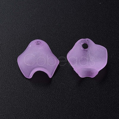 Transparent Acrylic Beads MACR-S373-106-D03-1