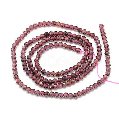 Natural Garnet Beads Strands G-S152-03-2mm-1