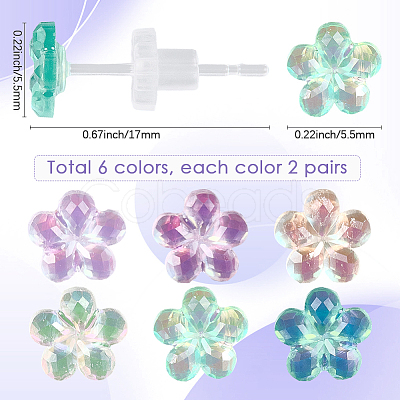 12 Pairs 6 Colors Resin Stud Earrings EJEW-SP0001-13-1