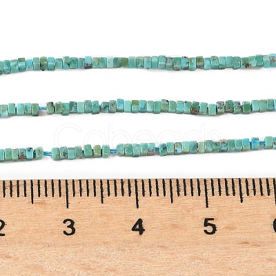 Natural HuBei Turquoise Beads Strands G-G271-G05-1x1.5mm-1