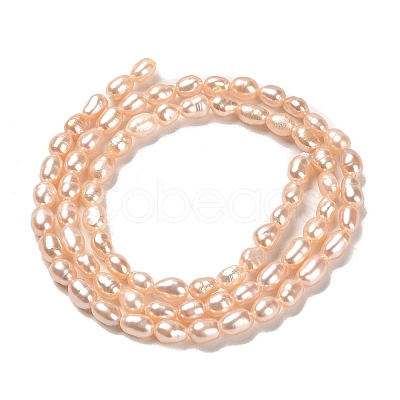 Natural Cultured Freshwater Pearl Beads Strands PEAR-E016-127-1