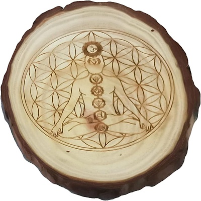 Rustic Wooden Slice Cup Mats DJEW-WH0010-86-1