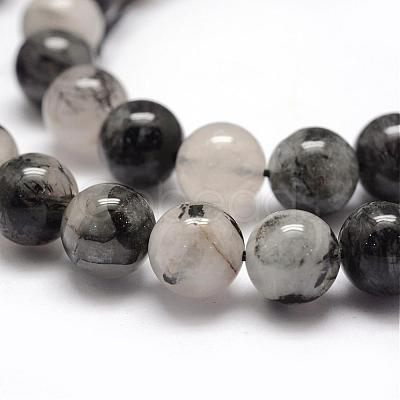 Natural Black Rutilated Quartz Bead Strands G-P217-32-10mm-1