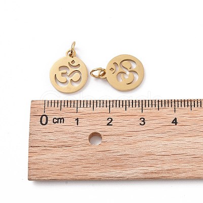 304 Stainless Steel Charms LS-STAS-Q201-T446G-1