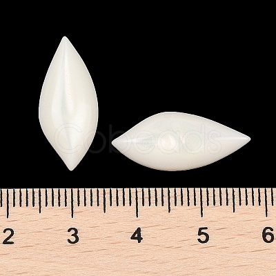 Opaque Resin Decoden Cabochons CRES-I036-14B-1