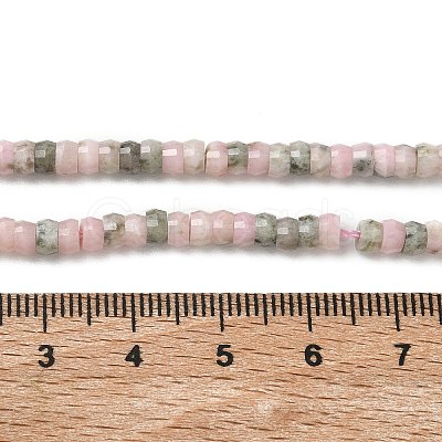 Natural Rhodonite Beads Strands G-A299-A24-01-1