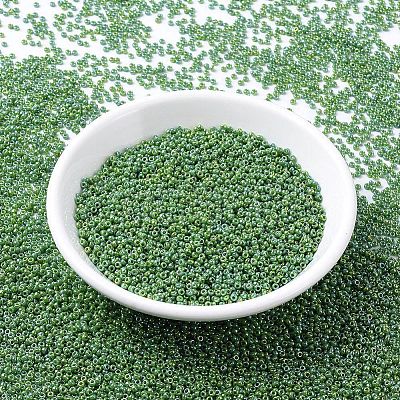 MIYUKI Round Rocailles Beads X-SEED-G007-RR0480-1