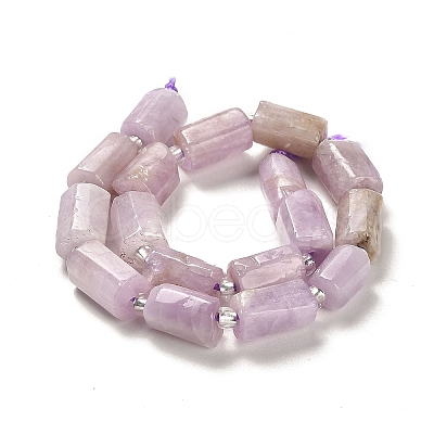 Natural Kunzite Beads Strands G-N327-06-36-1